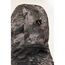 Охотничий костюм демисезонный Remington Himalayan Black Camo
