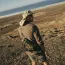 Тропическая рубашка Defender Mk2 (Defender Mk2 Tropical Shirt) | Helikon-Tex