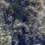 Рубашка Woodsman (Хеликон-Текс) | Helikon-Tex