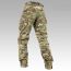 Брюки боевые Ars Arma CP Gen 3, Multicam AA01615/MC