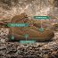 Danner Fullbore 4.5" Military and Tactical Boots