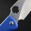 Нож складной Daggerr Sting Blue SW, сталь D2, рукоять G10