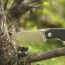 Нож складной Ruike P746-CB черный
