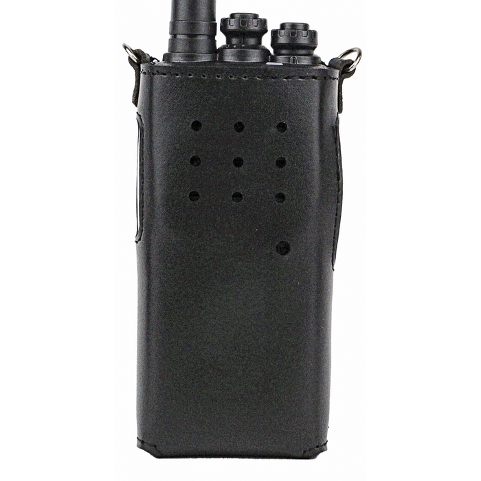 Чехол Аргут CH-55