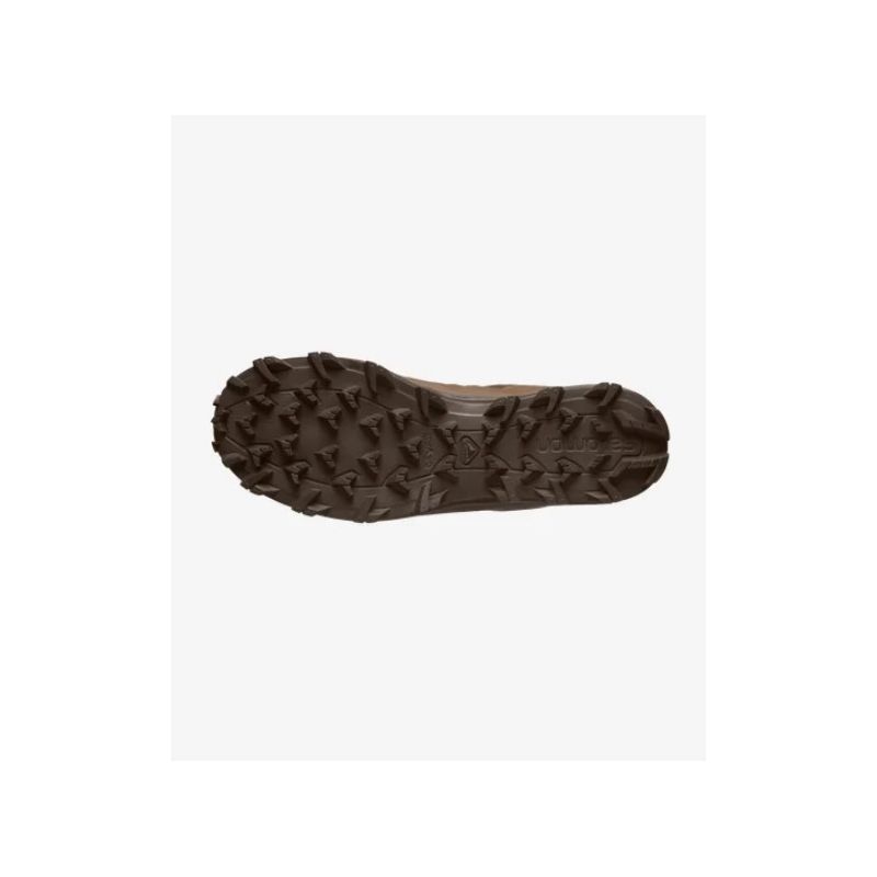 Ботинки Speed Assault 2 Salomon, цвет Earth Brown