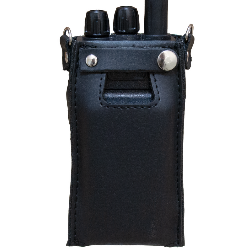 Чехол Аргут CH-24