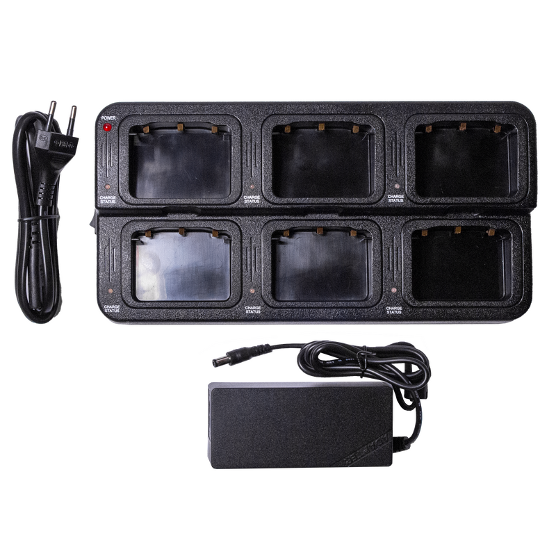 Зарядное устройство шестипозиционное Аргут А-74 SET6-74/301M