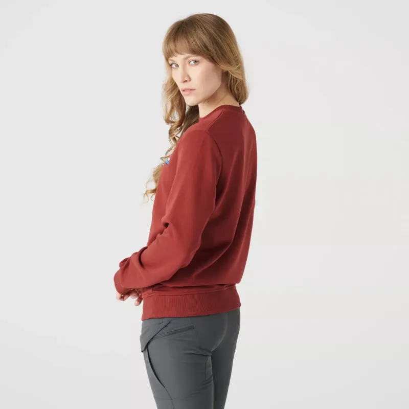 Толстовка (HTX Joe) (Sweatshirt (HTX Joe))