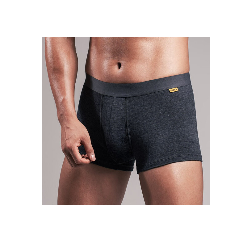 Трусы Dragon Tooth YY Pro Merino Underwear, Dark Grey, DT23-UW001