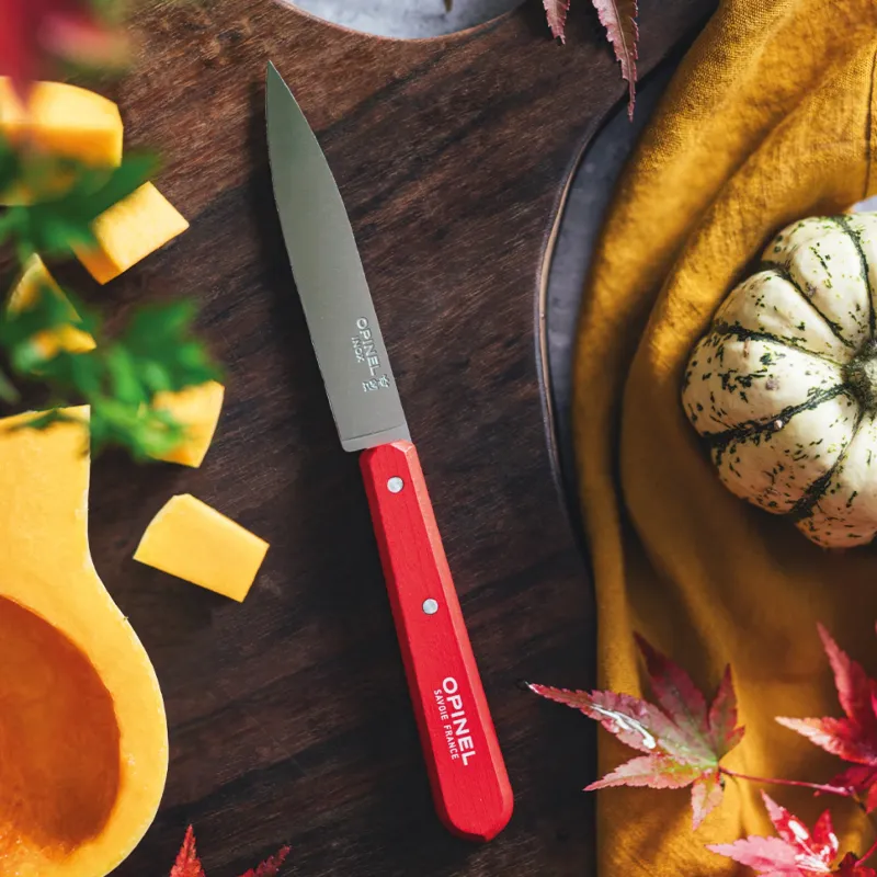 Нож столовый Opinel №112, деревянная рукоять, блистер, нержавеющая сталь, шалфейный